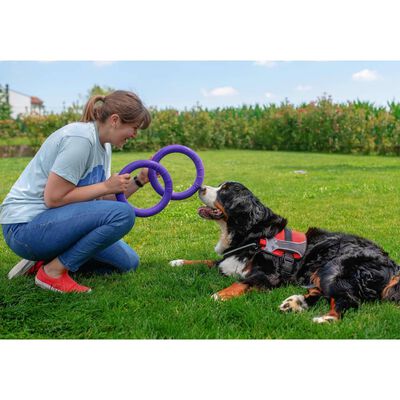 Ferplast aktivitetslegetøj til hund 2 stk. Puller Standard lilla