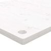 vidaXL skrivebordsplade 100x60x2,5 cm massivt fyrretr&aelig; hvid