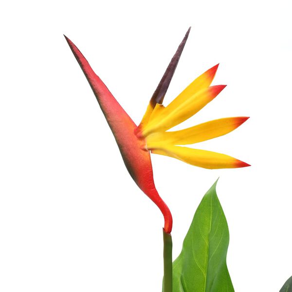 vidaXL kunstig Strelitzia reginae-plante paradisfugl 66 cm