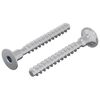 vidaXL Skrue 2 stk. Zinkbelagt 5 x 40 mm Jern