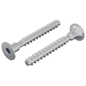 vidaXL Skrue 2 stk. Zinkbelagt 5 x 40 mm Jern