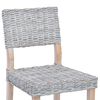 vidaXL Spisestuestol 2 pcs Hvidvask 46 x 55 x 84 cm Kubu rattan