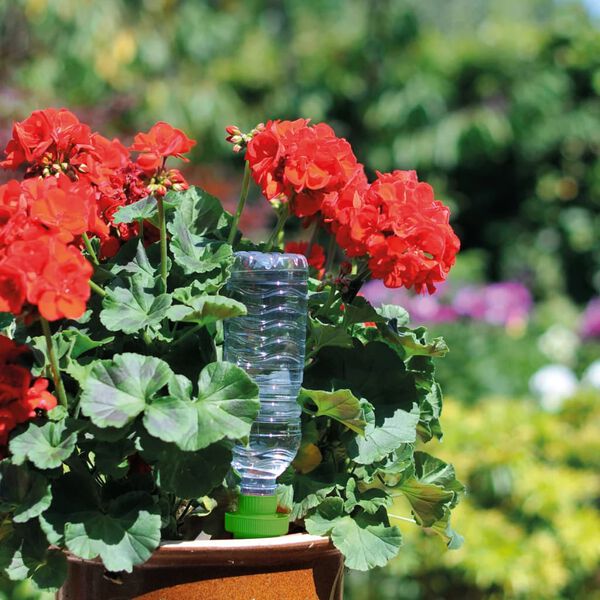 Hozelock vandingskegle Aquasolo 4 stk. medium