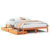 vidaXL sengeramme uden madras 120x190 cm massivt fyrretr&aelig; gyldenbrun
