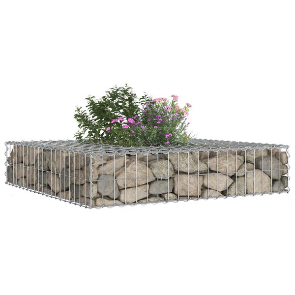 vidaXL Gabion h&oslash;jbed S&oslash;lv 100 x 100 x 20 cm Galvaniseret st&aring;l