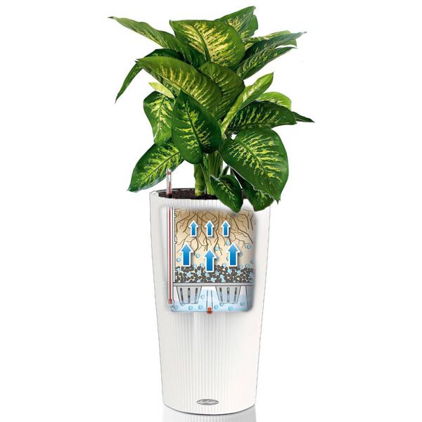 LECHUZA plantekrukke Cilindro color 32 ALL-IN-ONE hvid 13950