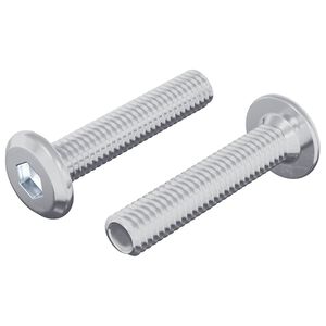 vidaXL L&aring;seskrue Ensfarvet 2 pcs S&oslash;lv M6 x 30 mm St&aring;l