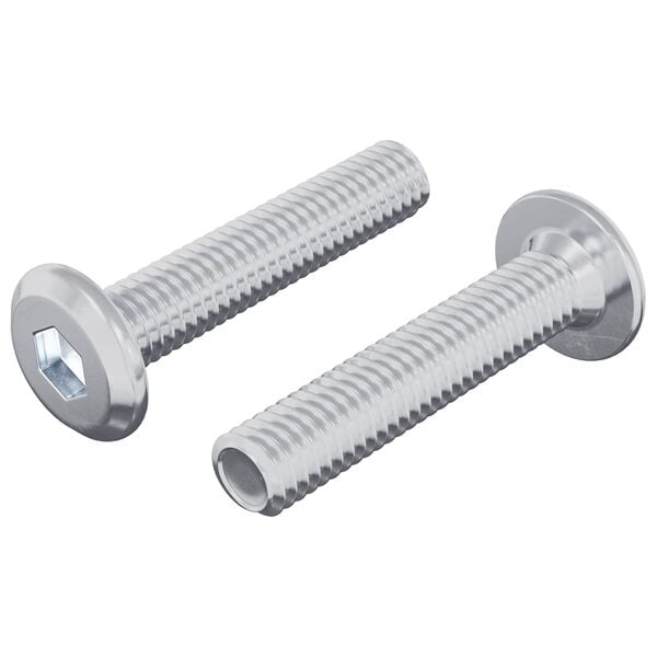 vidaXL L&aring;seskrue Ensfarvet 2 pcs S&oslash;lv M6 x 30 mm St&aring;l