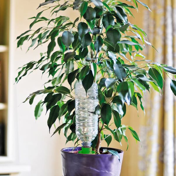 Hozelock vandingskegle Aquasolo 4 stk. medium