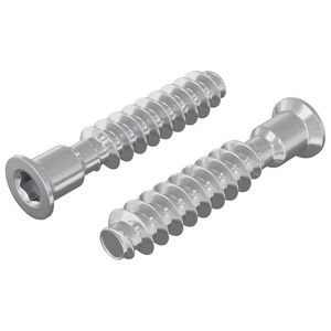 vidaXL Hovedkapskruer 2 stk. S&oslash;lv M7 x 40 mm St&aring;l