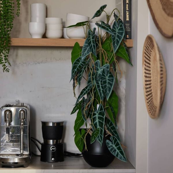 Emerald kunstigt elefant&oslash;re i potte 75 cm