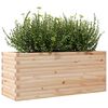 vidaXL plantekasse 110x40x45,5 cm massivt fyrretræ