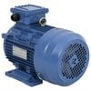 vidaXL 3-faset elektrisk motor 4kW/5,5 hk 2-polet 2840 o/m aluminium