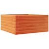 vidaXL plantekasse 50x50x23 cm massivt fyrretr&aelig; gyldenbrun
