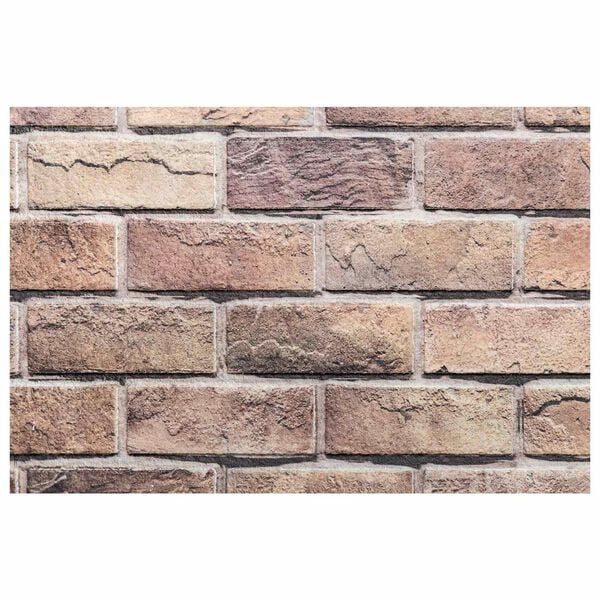 vidaXL V&aelig;gpaneler 10 pcs Brun og gr&aring; 100 x 50 cm EPS Skum