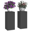 vidaXL Planteholder 2 pcs Sort 24 x 24 x 55 cm St&aring;l