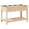 vidaXL Have Blomsterkrukke Beige 115 x 59 x 76,5 cm Massivt Fyrretr&aelig;