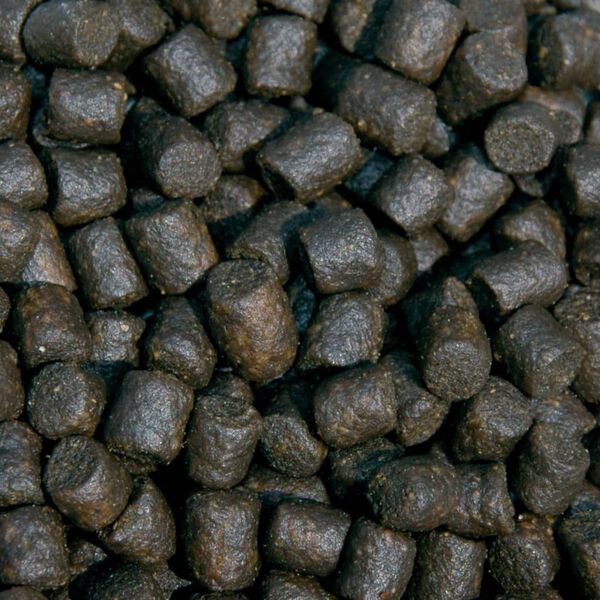 Sanikoi Sturgeon Pro 2100 g