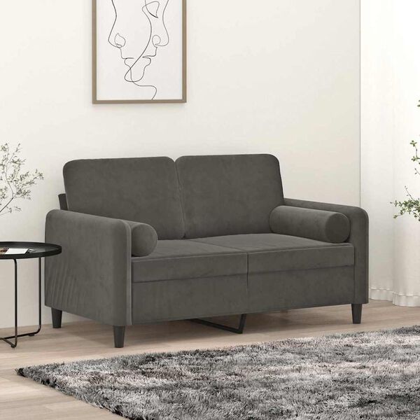 vidaXL 2-personers sofa med puder og hynder 120 cm velour m&oslash;rkegr&aring;