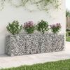 vidaXL Gabion h&oslash;jbed S&oslash;lv 200 x 50 x 60 cm Galvaniseret st&aring;l