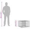 vidaXL Gabion h&oslash;jbed S&oslash;lv 60 x 60 x 40 cm Galvaniseret st&aring;l