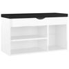 High_gloss_white
