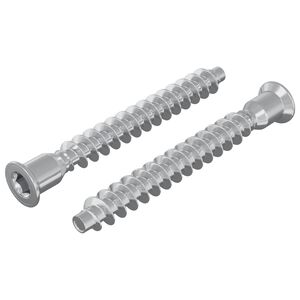 vidaXL Bekr&aelig;ftelsesskruer 2 pcs S&oslash;lv &Oslash;7 x 58 mm Metal