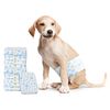 vidaXL Engangs hundepants, til hanhund 30 pcs Hvid L