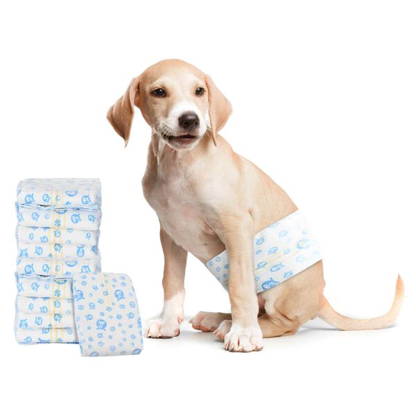 vidaXL Engangs hundepants, til hanhund 30 pcs Hvid L