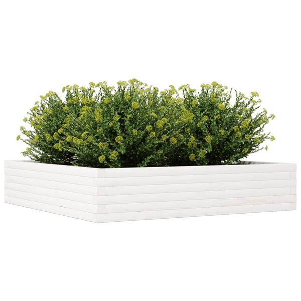 vidaXL plantekasse 110x110x23 cm massivt fyrretræ hvid
