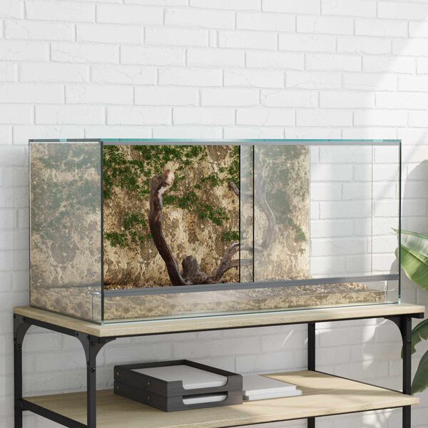 vidaXL Terrarium med opbevaring Transparent 80 x 40 x 40 cm Glas