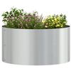 vidaXL Plante ring 5 pcs S&oslash;lv 40 x 40 x 20 cm Galvaniseret st&aring;l