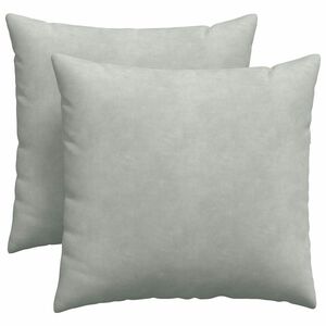 vidaXL Sofapuder 2 pcs Lysegr&aring; 45 x 45 cm Velourstof
