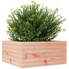 vidaXL plantekasse 50x50x23 cm massivt douglasgran