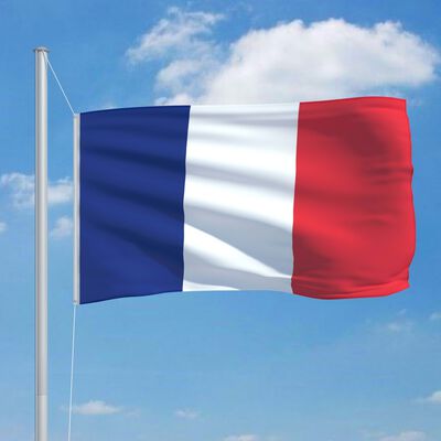 vidaXL fransk flag og flagstang 6,2 m aluminium