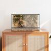 vidaXL Terrarium med opbevaring Transparent 50 x 30 x 30 cm Glas
