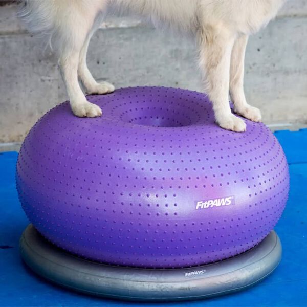 FitPaws balancebold til k&aelig;ledyr TRAX Donut 55 cm lilla