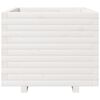 vidaXL plantekasse 60x60x49,5 cm massivt fyrretr&aelig; hvid