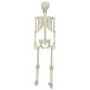 vidaXL Halloween Skelet Hvid 155 x 38.5 cm Plastik