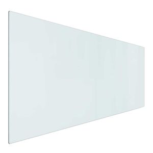 vidaXL Pejs glasplade Transparent 120 x 50 cm Glas