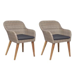 vidaXL havestole med hynder 2 stk. polyrattan brun
