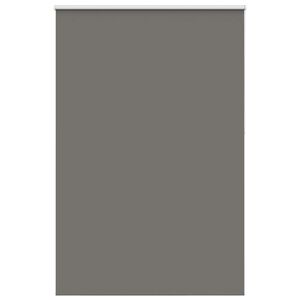 vidaXL rullegardin m&oslash;rkl&aelig;gning 165x230 cm stofbredde 161,6cm polyester