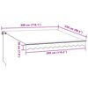 vidaXL markise med LED-lys 300x250 cm manuel betjening bordeauxfarvet