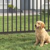 Produktminiaturebillede 2 af 9