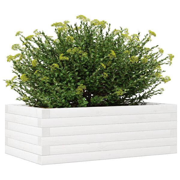 vidaXL plantekasse 70x40x23 cm massivt fyrretræ hvid