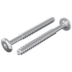 vidaXL Tr&aelig;skruer 2 stk. S&oslash;lv M6 x 70 mm St&aring;l