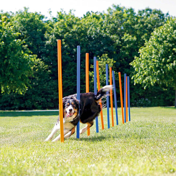 TRIXIE slalomst&aelig;nger til agility 12 stk. 115 cm plastik 3206