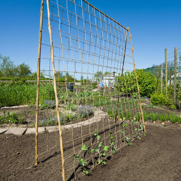 Nature net til klatreplanter 1,8x5 m jute gr&oslash;n
