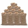 vidaXL jutes&aelig;kke 10 stk. 65x135 cm 100 % jute 220 g/m2