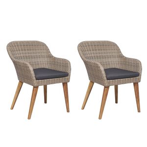vidaXL havestole med hynder 2 stk. polyrattan brun